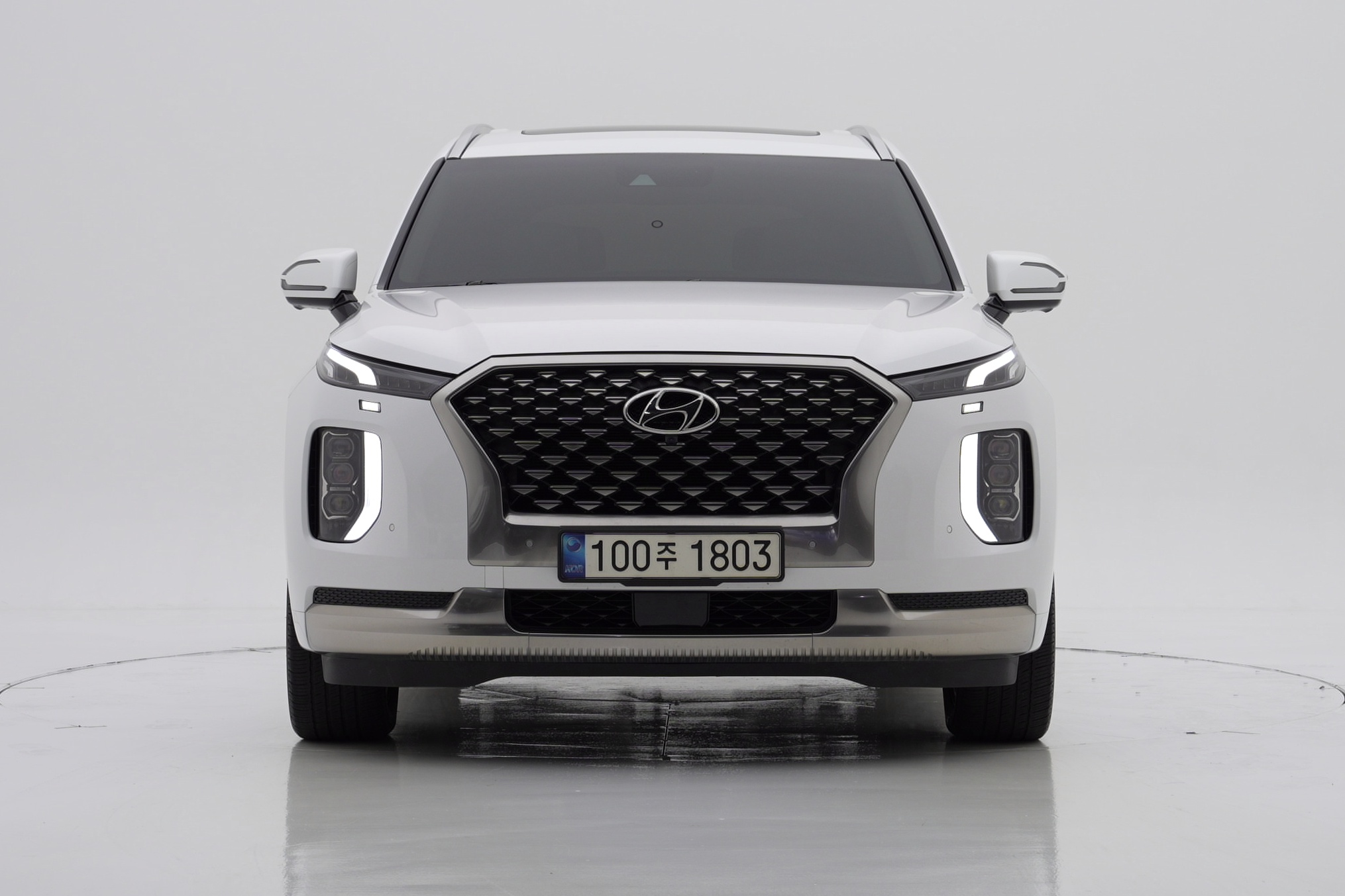 Hyundai Palisade Gasoline 3.8 2WD Calligraphy 7-seat+통풍시트(2열)